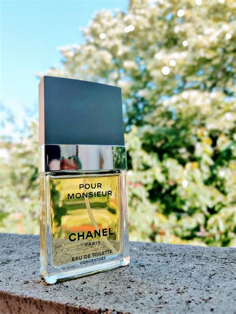 parfum chanel männer|chanel fragrance.